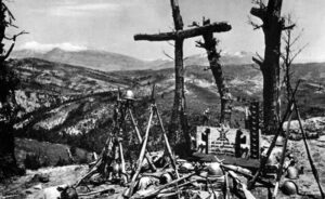 ΥΨΩΜΑ 731 — Η ΘΥΣΙΑ ΤΩΝ ΤΡΙΚΑΛΙΝΩΝ